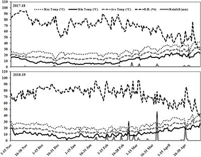 Application of Zinc and Iron-Based Fertilizers Improves the Growth Attributes, Productivity, and Grain Quality of Two Wheat (Triticum aestivum) Cultivars